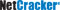 Corporate Overview: Accelerating Business Transformation